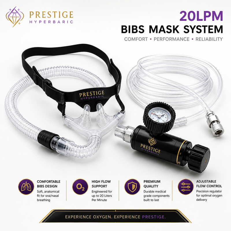 20LPM BIBS Mask System