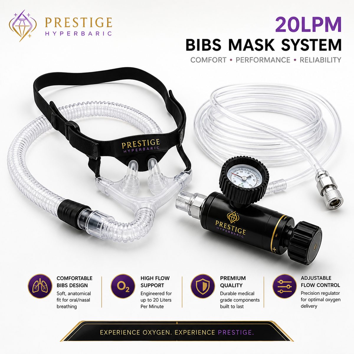 20LPM BIBS Mask System