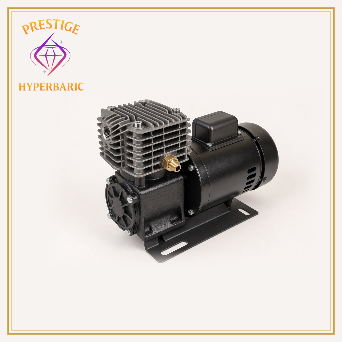 Air Compressor Replacement Pump — Hyperbaric Chamber