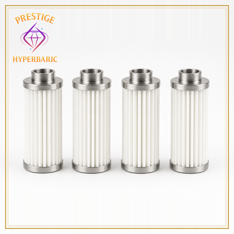 Hyperbaric Chamber Replacement Intake Filters — Set of 4